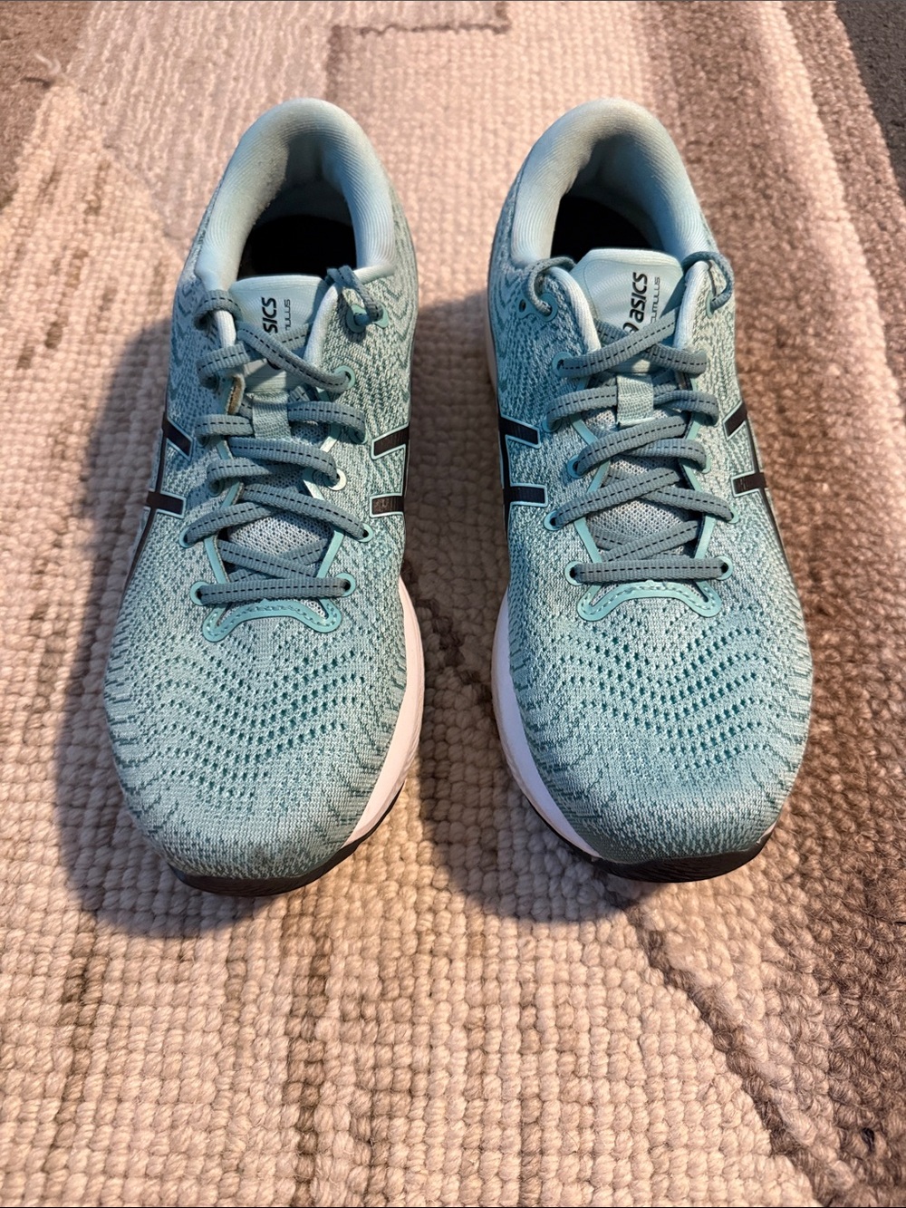 ASICS Gel Cumulus Women’s 10.5